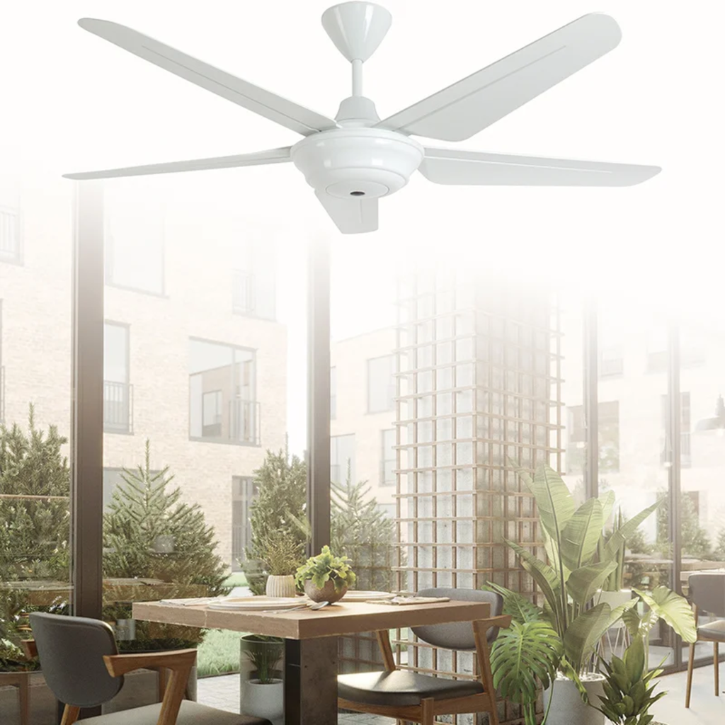 Ceiling Fans 54" B5
