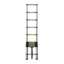Telescopic Ladder