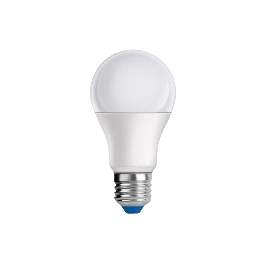 LED Globe Bulb - Screw Type